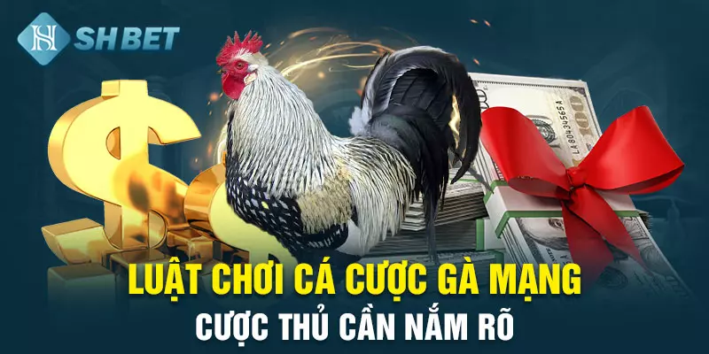 Cá cược gà mạng