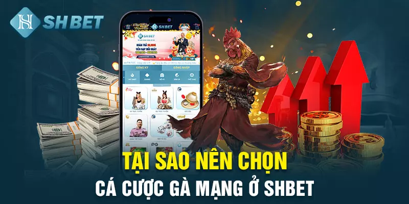 Cá cược gà mạng