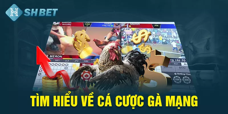 Cá cược gà mạng