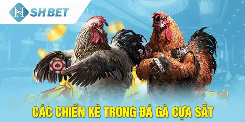 Đá Gà cựa sắt