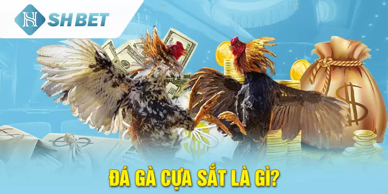 Đá Gà cựa sắt