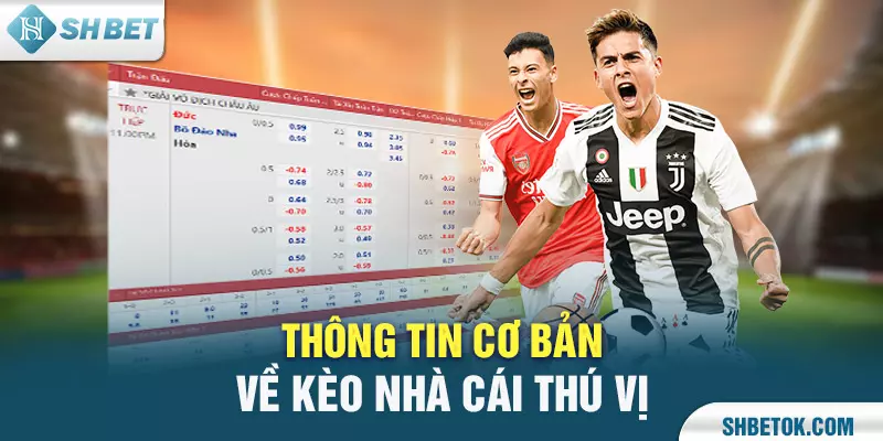 cá cược kèo nhà cái