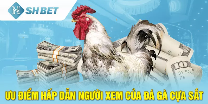 Đá Gà cựa sắt
