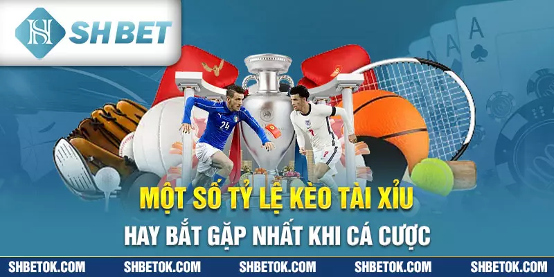 Một số tỷ lệ kèo tài xỉu hay bắt gặp nhất khi cá cược