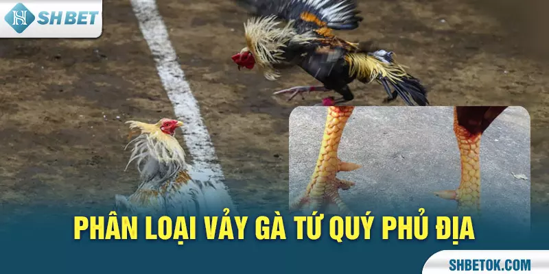 Phân loại Vảy gà Tứ Quý Phủ Địa