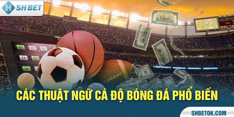 Thuật ngữ cá độ bóng đá