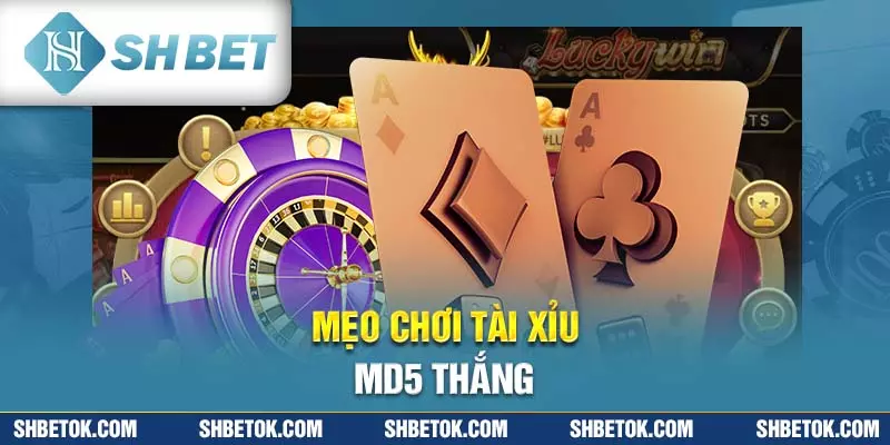 Tài xỉu MD5
