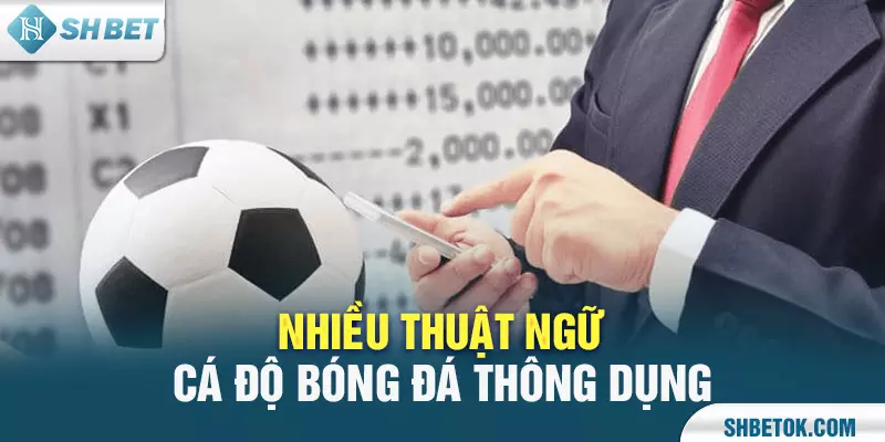 Thuật ngữ cá độ bóng đá