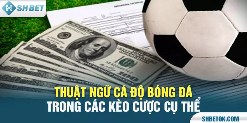 Thuật ngữ cá độ bóng đá