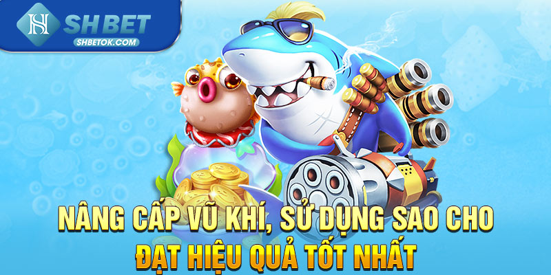Nâng cấp vũ khí, sử dụng sao cho đạt hiệu quả tốt nhất